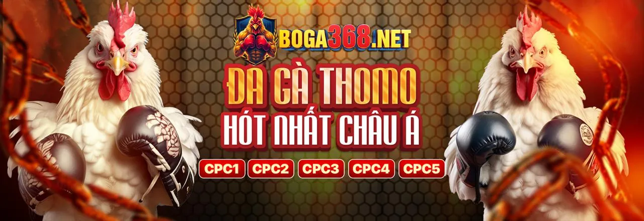 Đá gà trực tuyến kịch tính tại J886